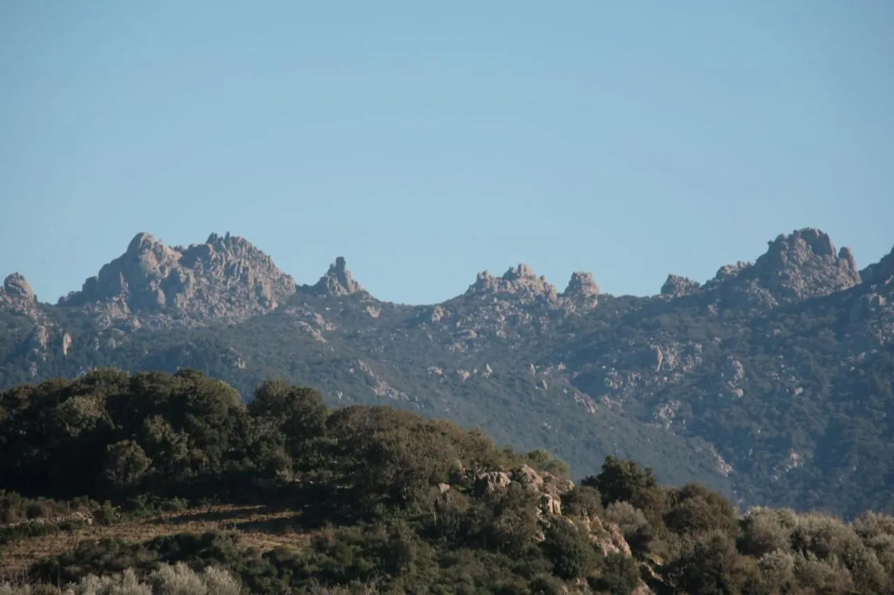 Appartamento Oliver'S House Sardinia Flumini di Quartu 0*,